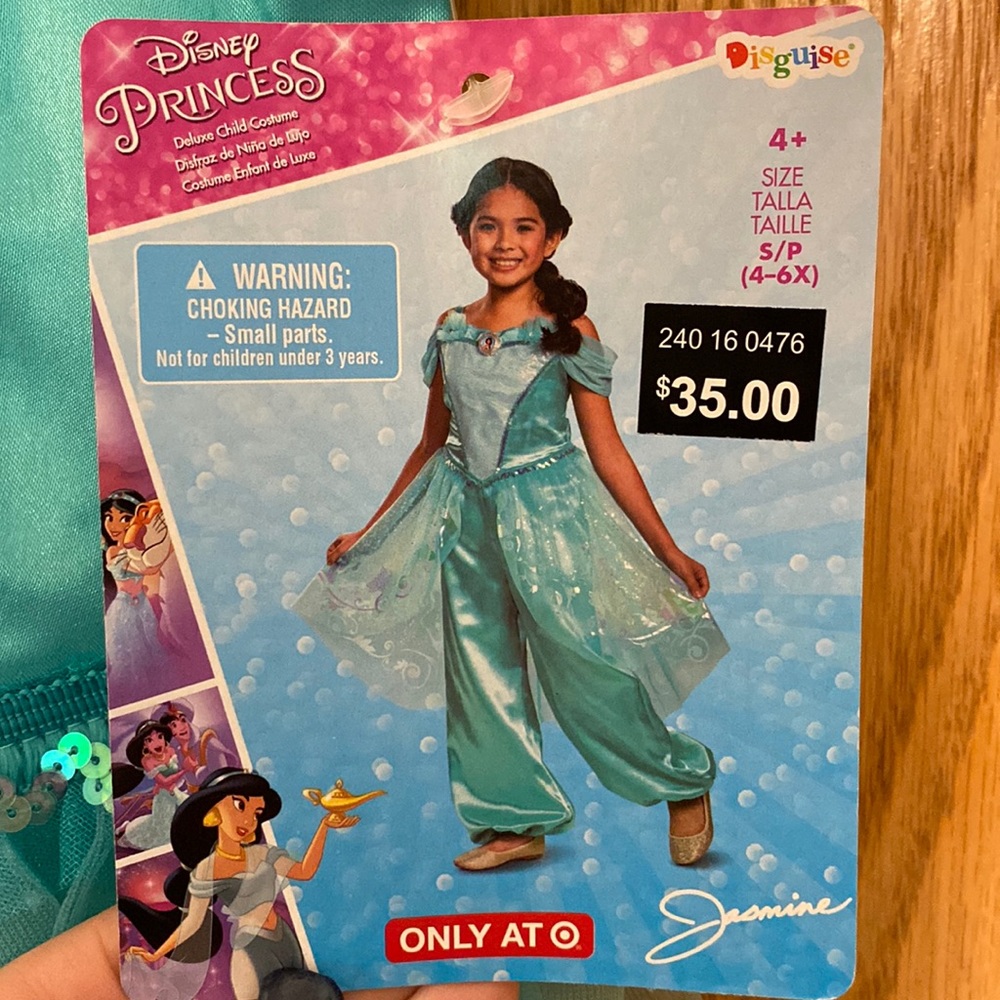 Disney Princess Jasmine from Aladdin costume with iridescent accents